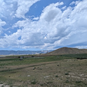 PXL_20260719_192352666.jpg